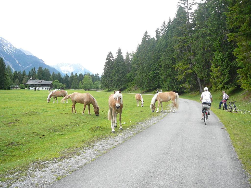 Ferienwohnungen Kathrein Reutte Exterior foto