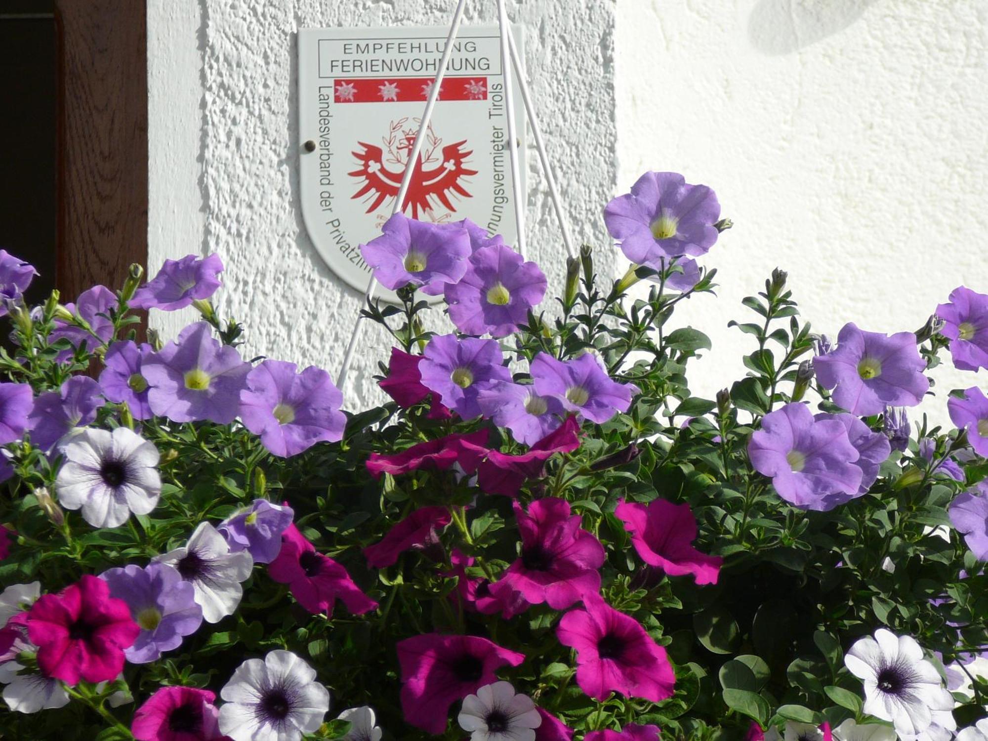 Ferienwohnungen Kathrein Reutte Exterior foto